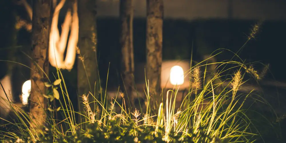 ideas for garden lighting