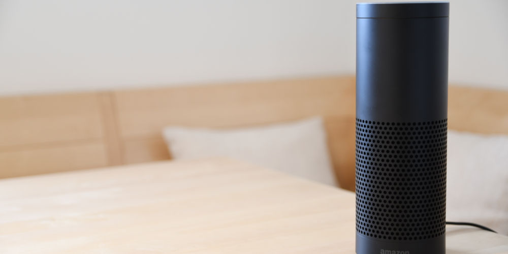 Alexa elderly echo