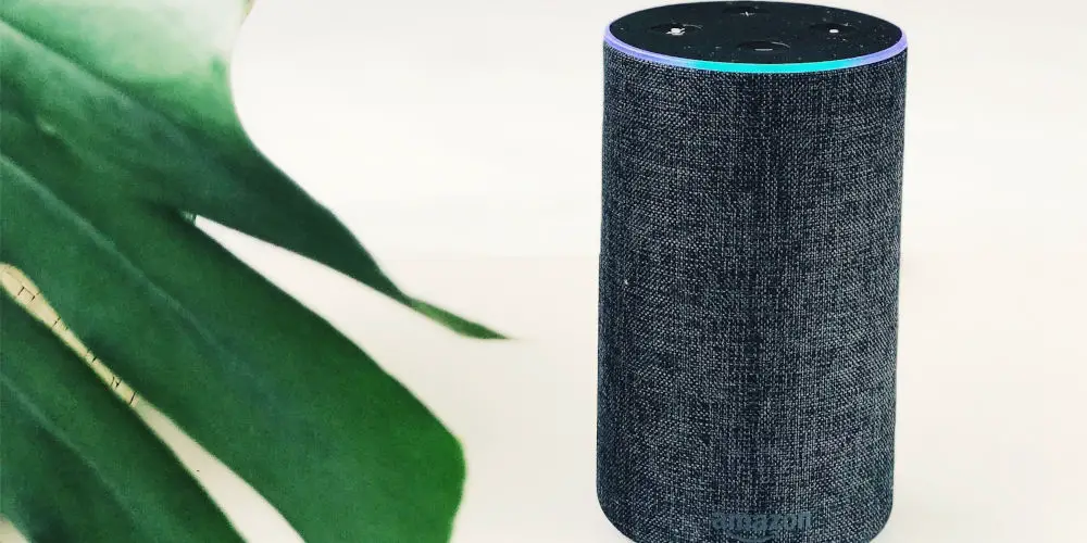 Amazon echo lifestyle