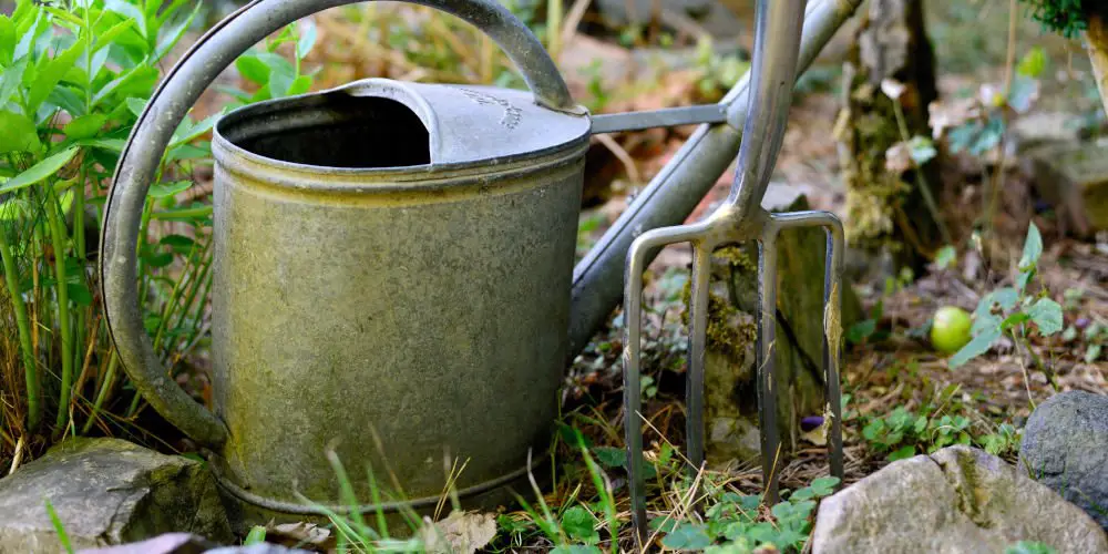 Best Garden Forks