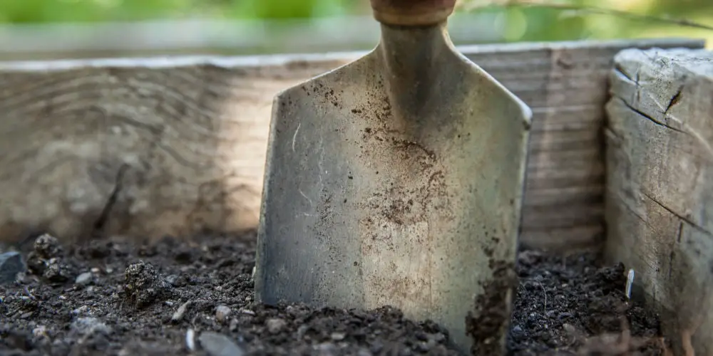 Best Garden Spades