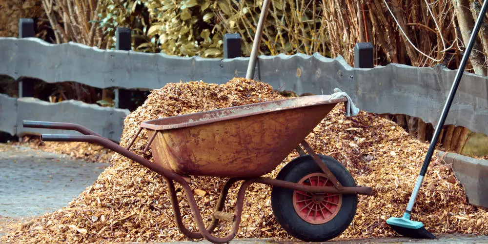 Best organic garden mulch