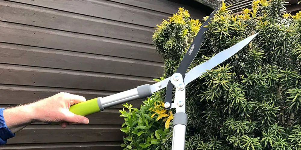 Davaon Garden Hedge Shears