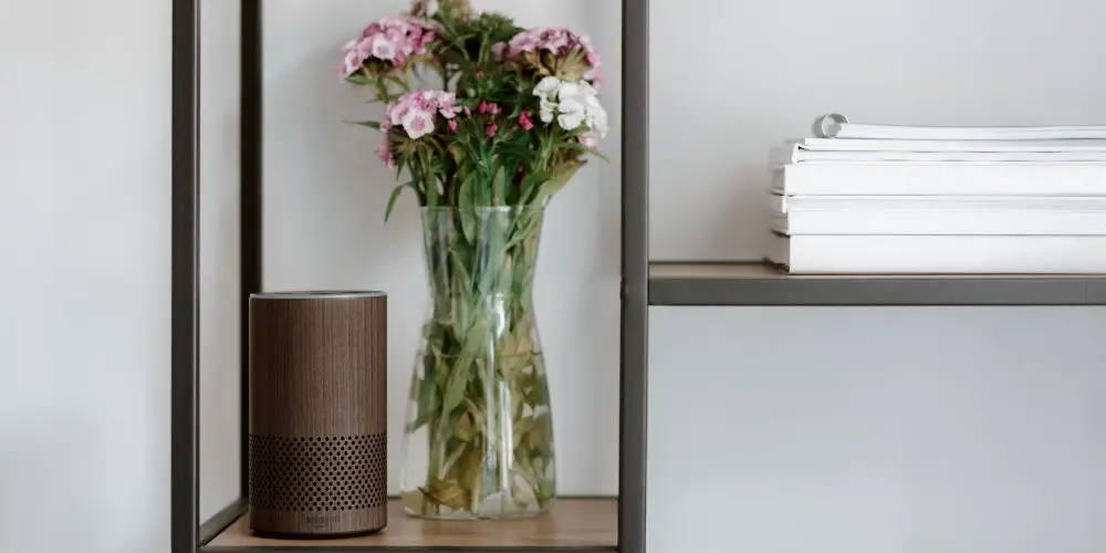 Does Amazon Alexa need Wi-Fi