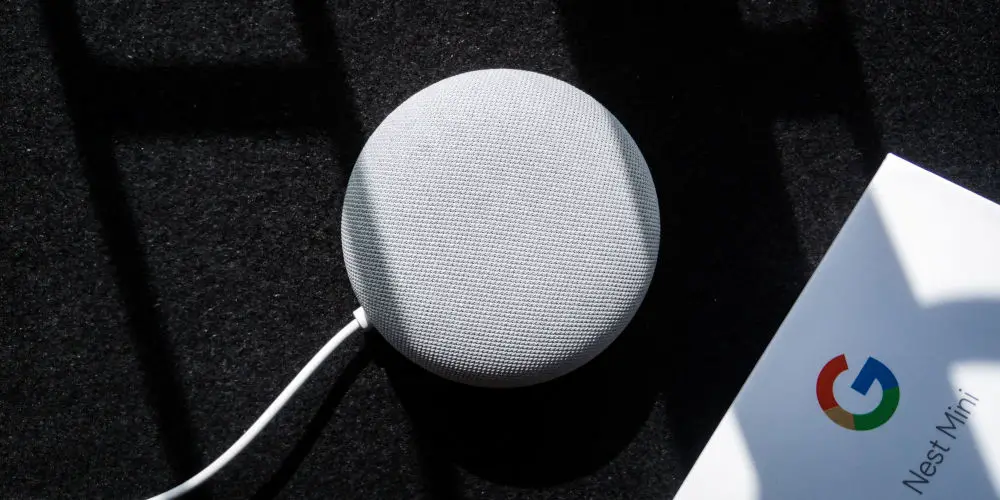 Google Assistant Crestron home nest device