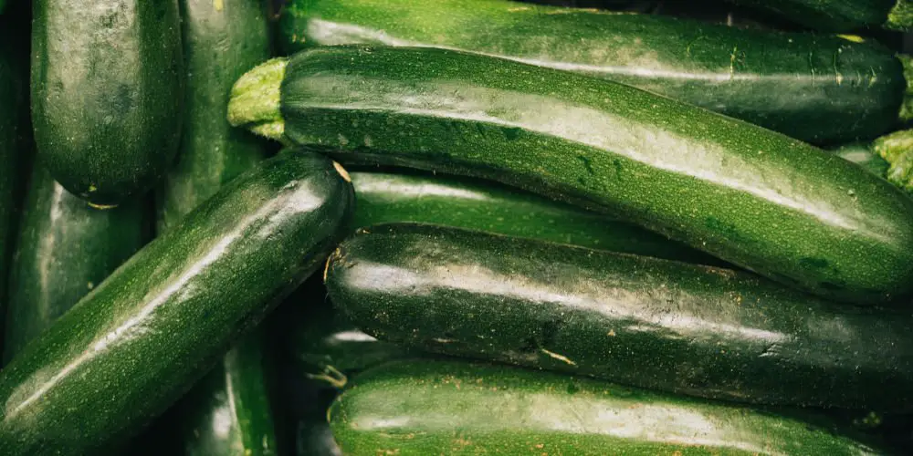 Grow Courgettes