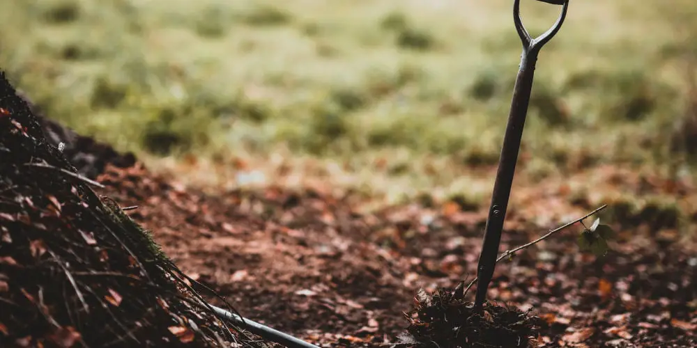 Shovel vs Spade