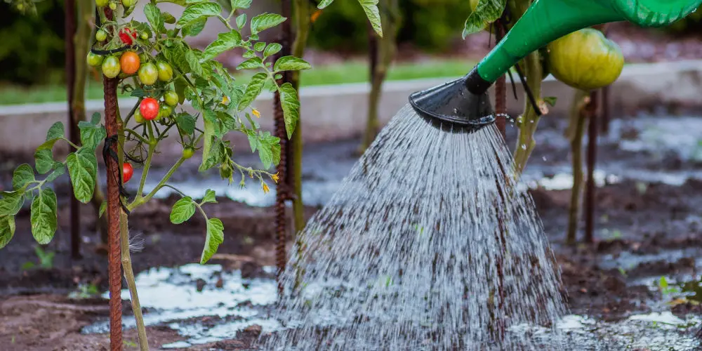 Smart irrigation system