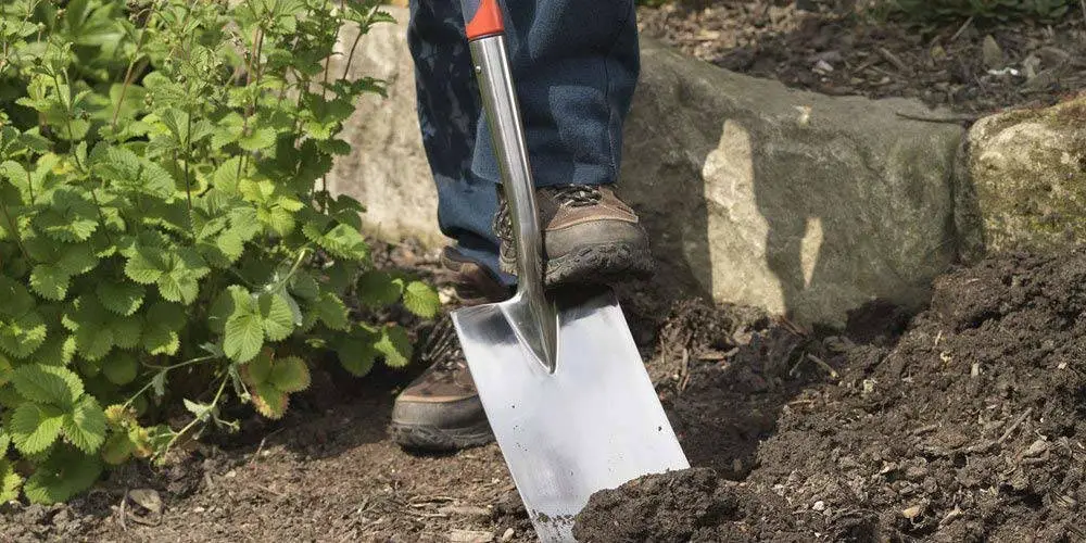 Spear and Jackson Digging Spade