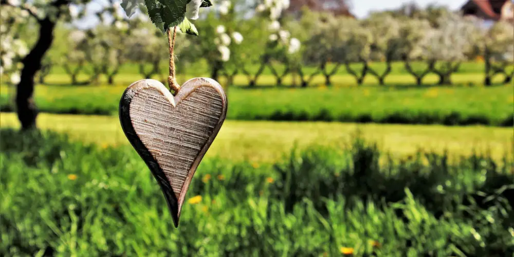 Essential spring gardening tips for all gardens