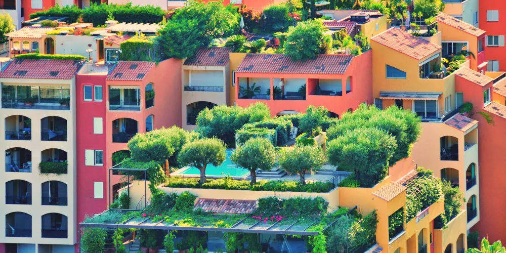 Start a balcony garden that blooms all year round
