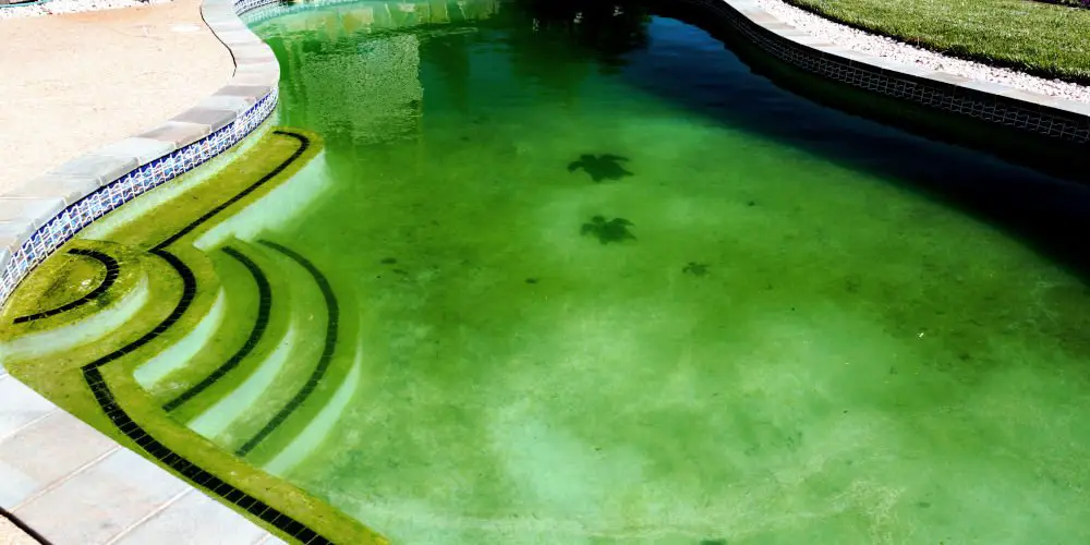 my pool is green after shocking it