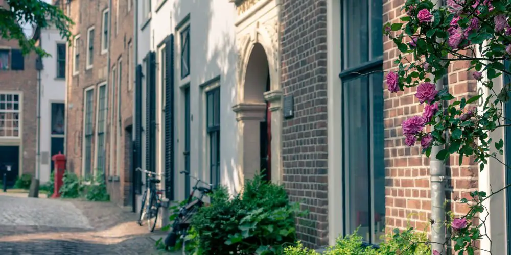 tips for house hunting