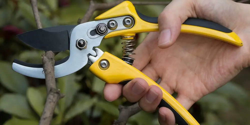 Vilapur Professional Pruning Shears
