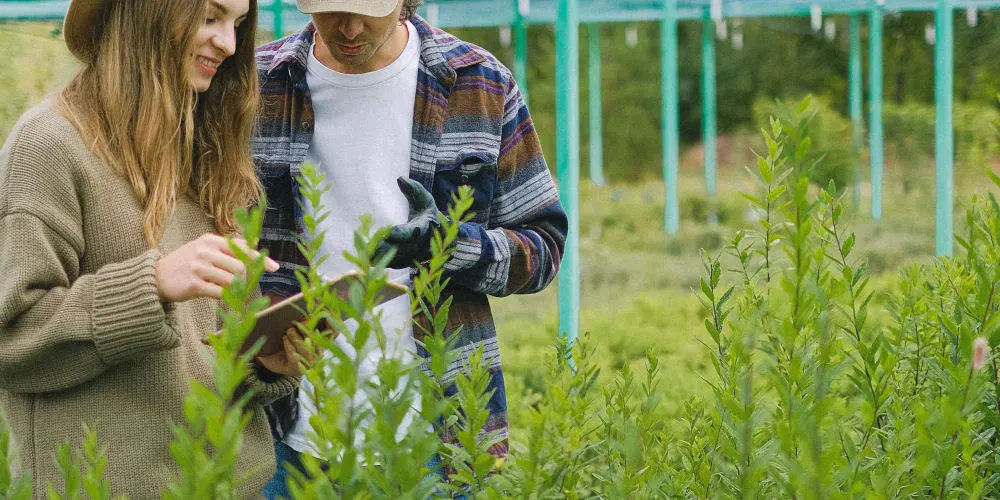 Weather-based smart watering system