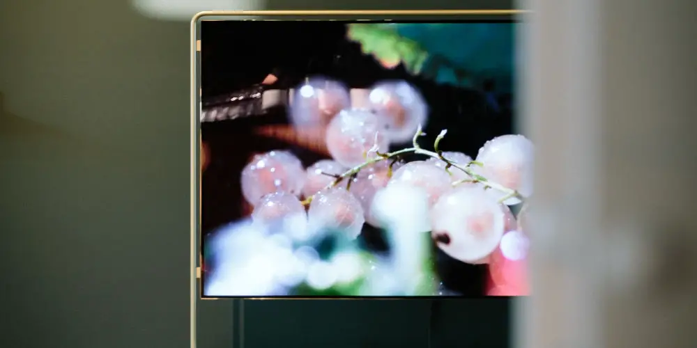 best 8K TV brands