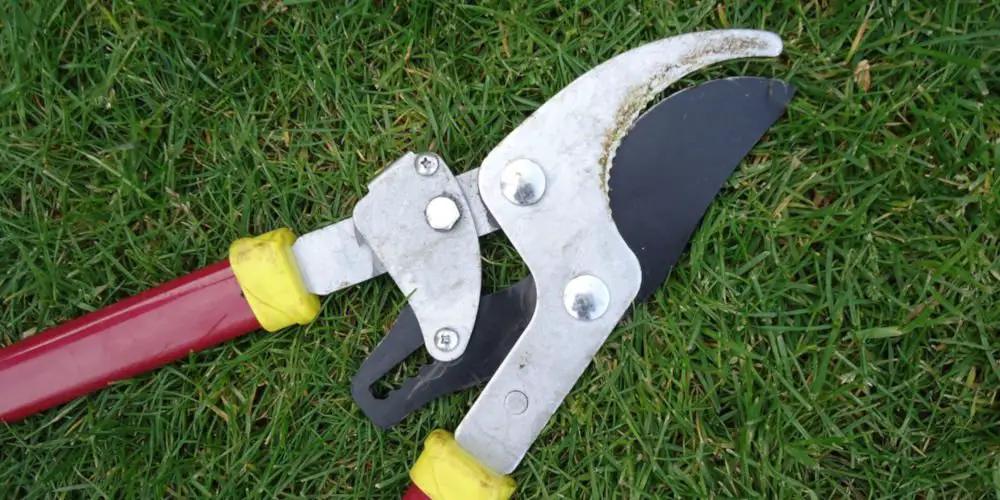 best garden loppers