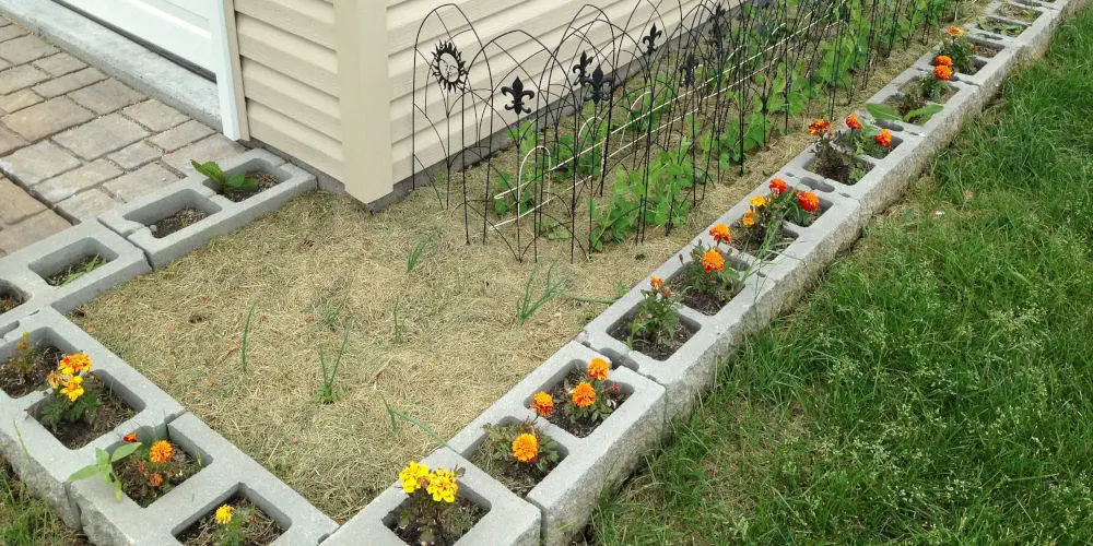 cinder blocks edging Pinterest