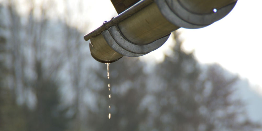 collecting rainwater