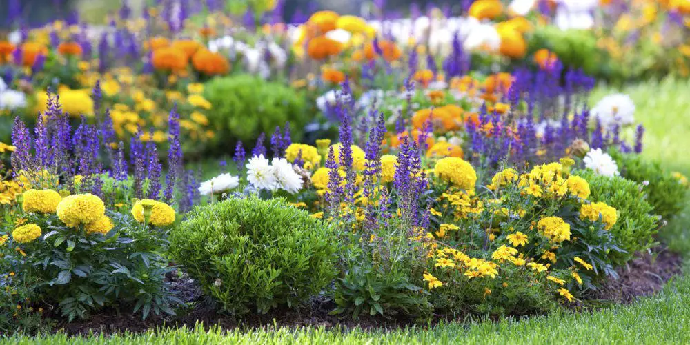 flower border Gardening Know How