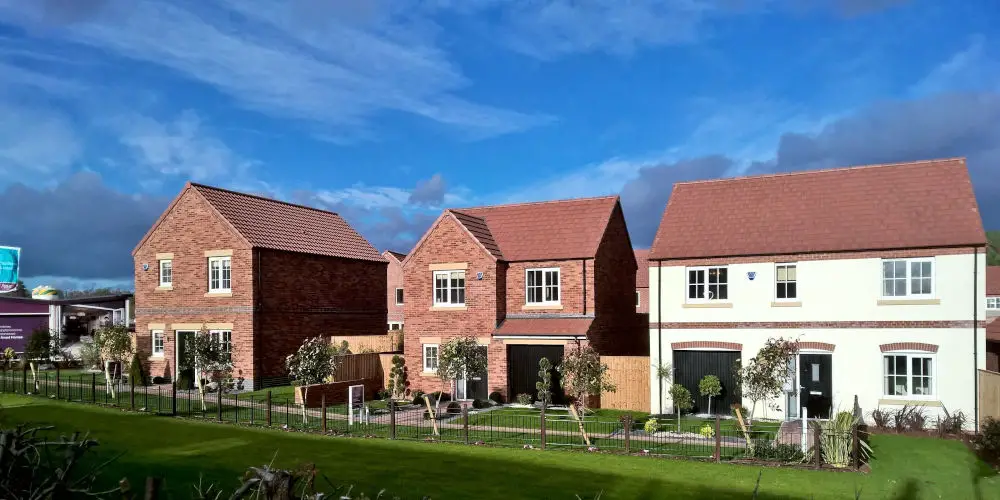 marketing suite new development