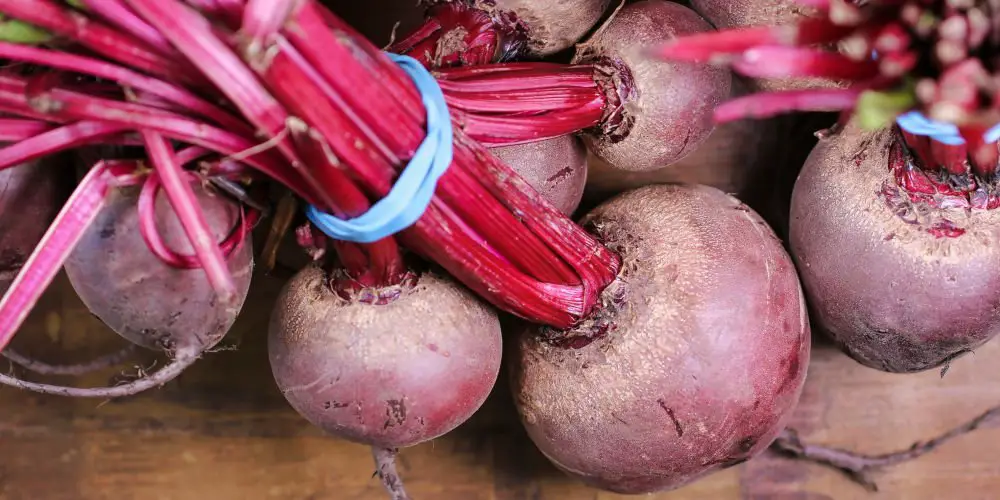 grow beetroot