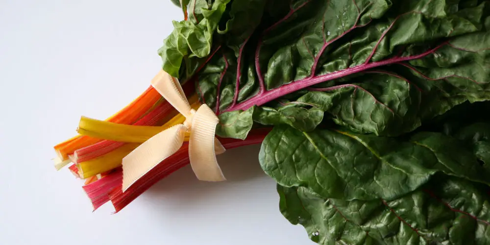 How to grow chard
