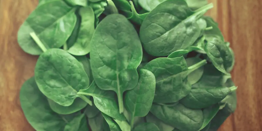 grow spinach