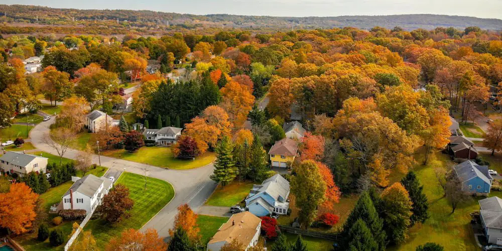 house buying tips