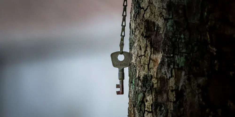 key on tree