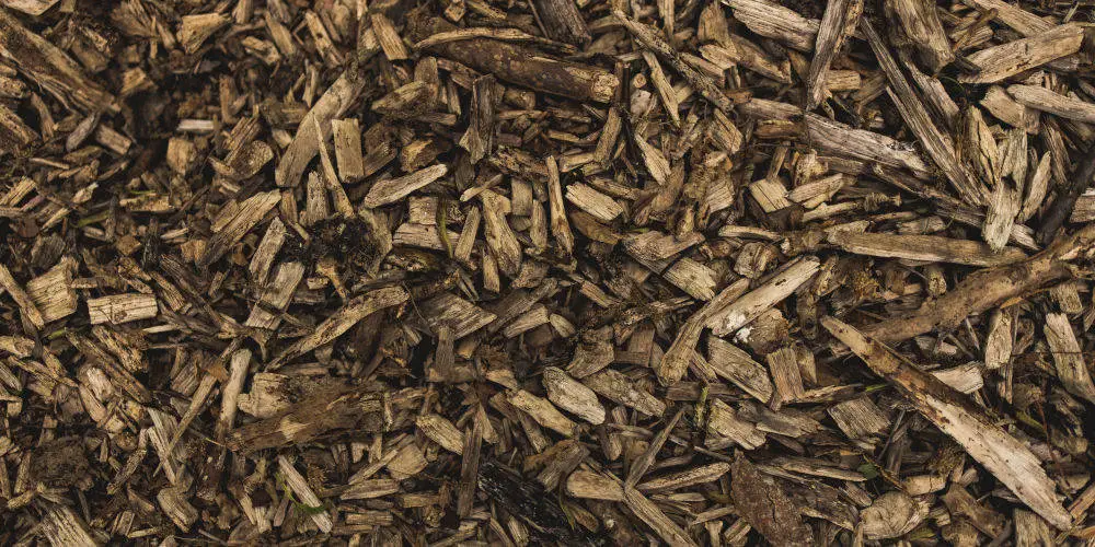 What's the best weed killer for any garden weeds? My Dream Haus