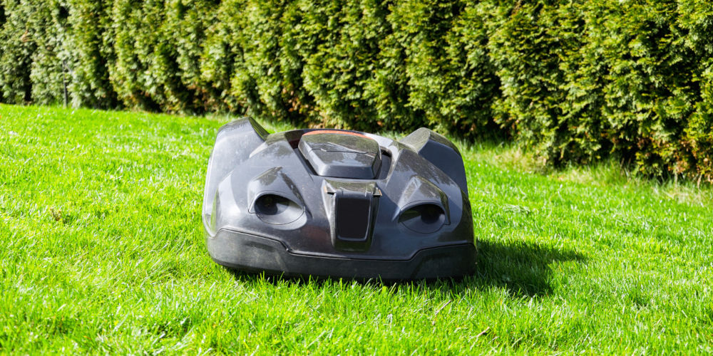 robot lawn mower action