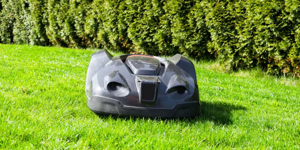 robot lawn mower action