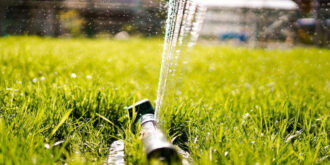 How to build a smart garden watering system