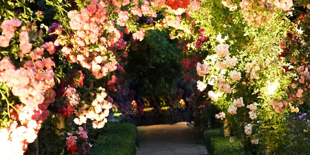 start automating outdoor lighting