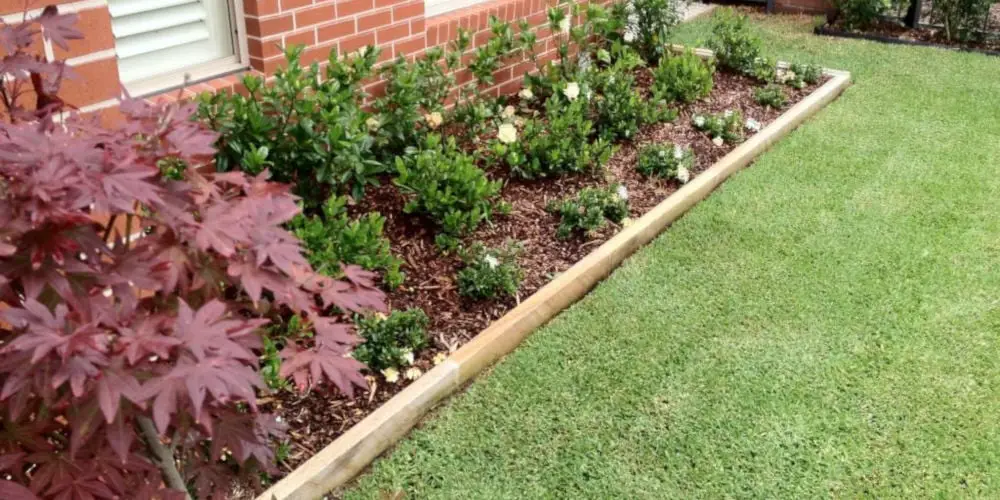 timber edging Pinterest