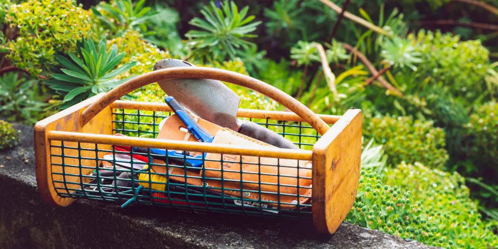 essential gardening tools